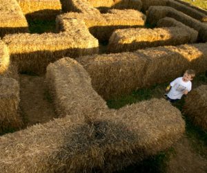 Boy in straw maze