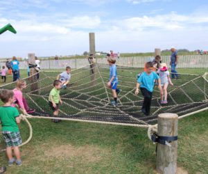 Kids on the spider web