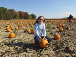 School group picking pumpkins