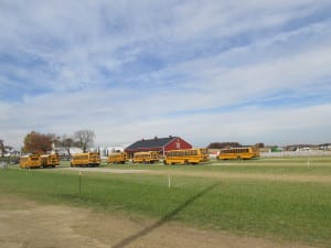 School buses at Ramseyer Farms