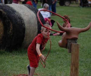 Steer Roping