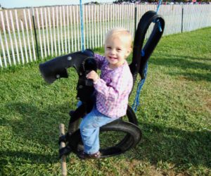 Horse swings