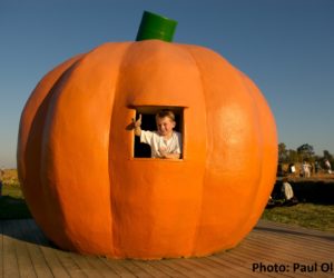 Pumpkin House
