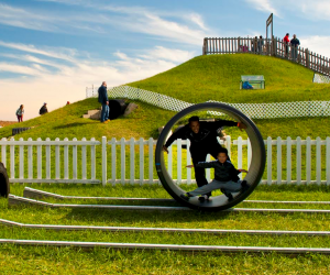 Rat Racers & Hamster Wheel