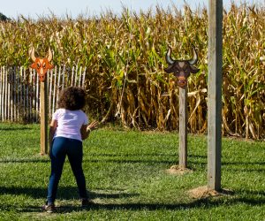 Ring-Toss Ring Toss