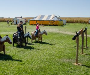 Steer-Roping Steer Roping