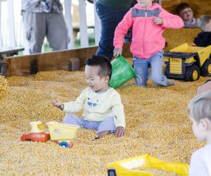 Corn Barn