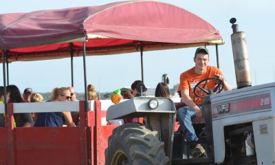 Hayride Driver