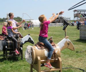 Steer Roping