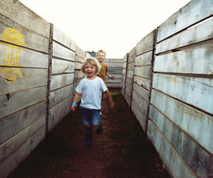 Potato Box Maze