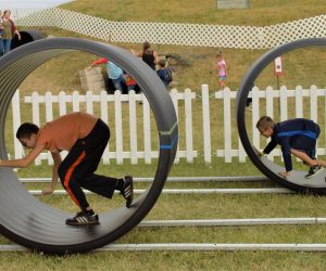 Rat Racers & Hamster Wheel