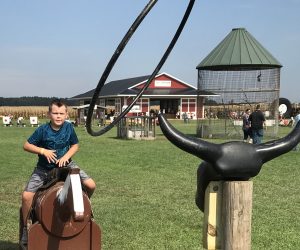 Steer Roping