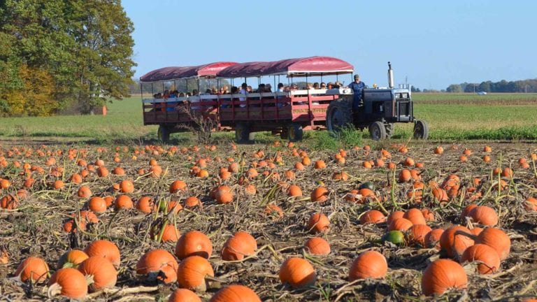 Farm Field Trips - Ramseyer Farms