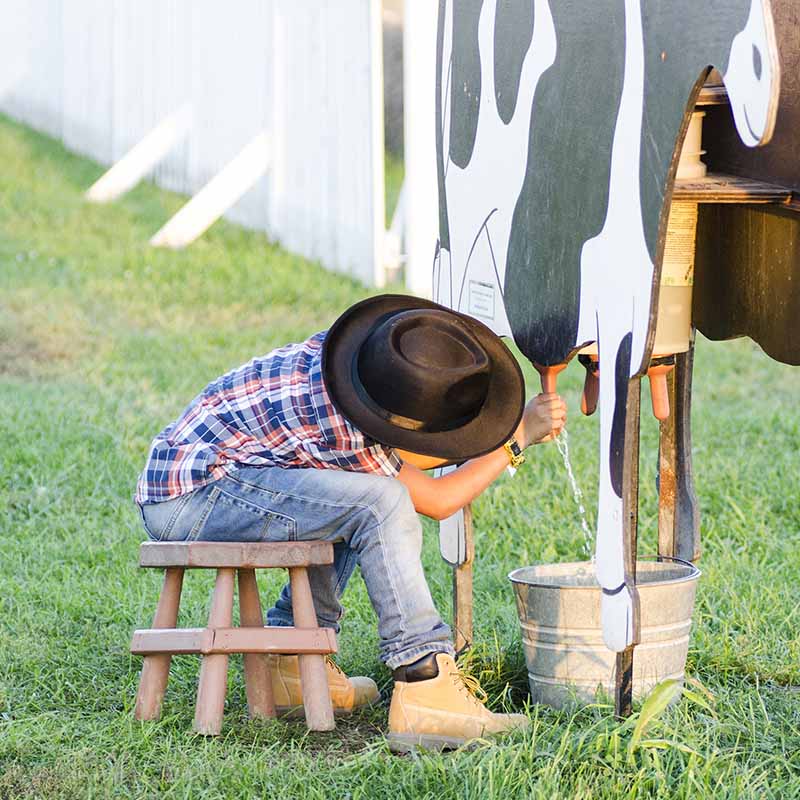 farm school field trips near me