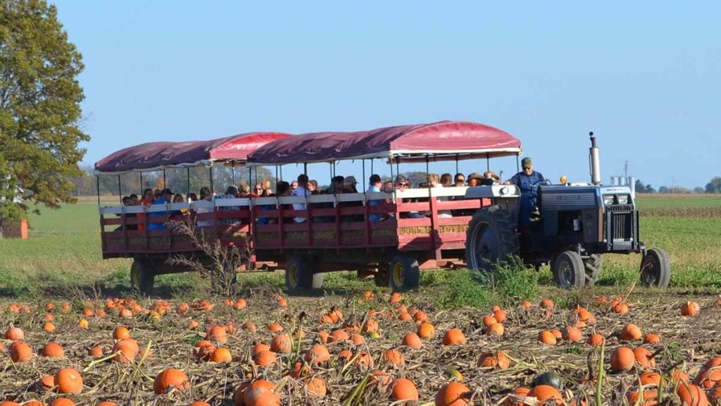 Private hayrides for your group!