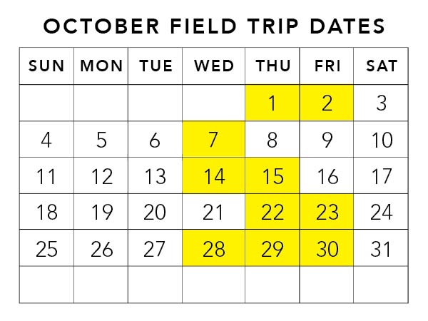 Field Trip Calendars-02