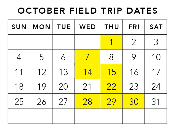 Field Trip Calendars-02